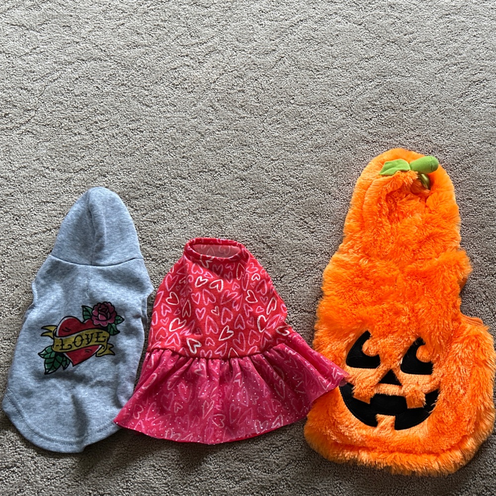 Small dog /cat clothes